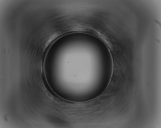 X0000093590011200710151213