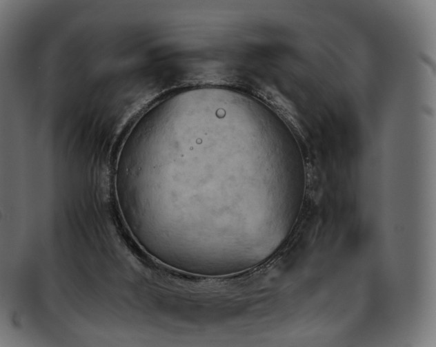X0000093590012200710151213