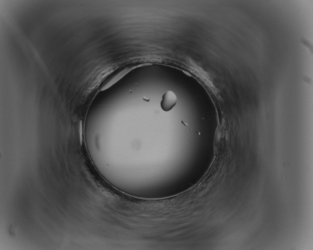 X0000093590013200710151213