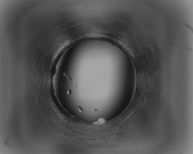 X0000093590015200710151213