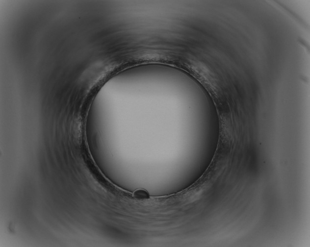 X0000093590016200710151213