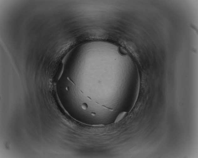 X0000093590017200710151213