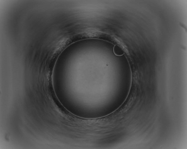 X0000093590018200710151213