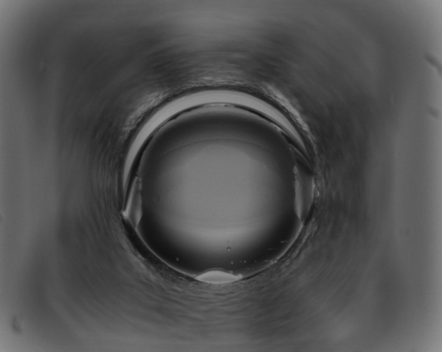 X0000093590019200710151213
