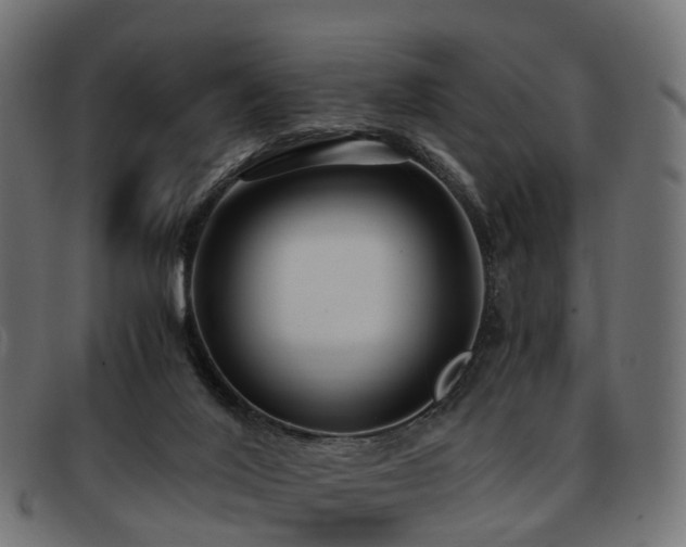X0000093590020200710151213