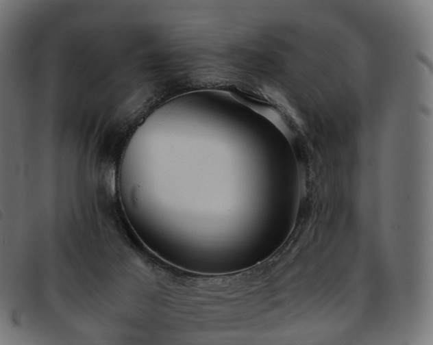 X0000093590021200710151213
