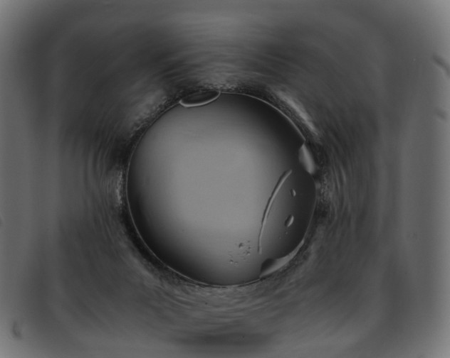 X0000093590023200710151213