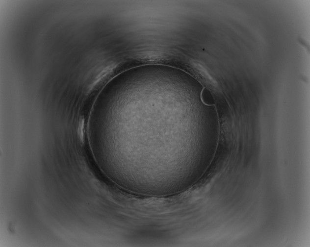 X0000093590024200710151213
