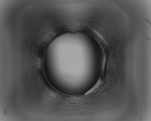 X0000093590025200710151213