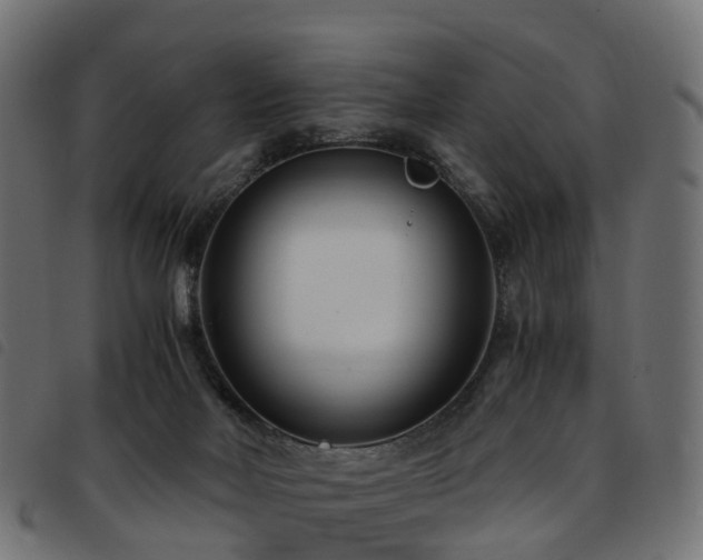 X0000093590026200710151213