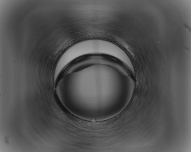 X0000093590027200710151213