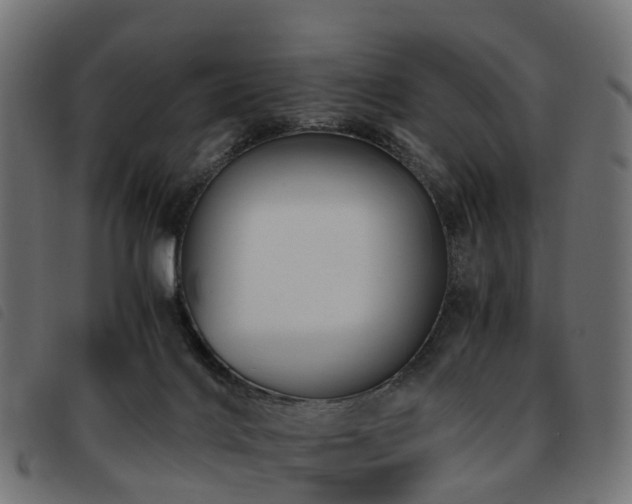 X0000093590028200710151213