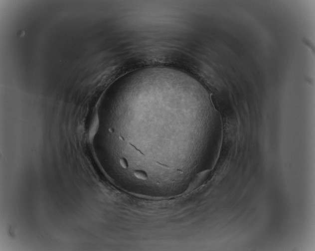 X0000093590029200710151213