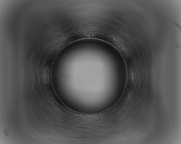 X0000093590030200710151213