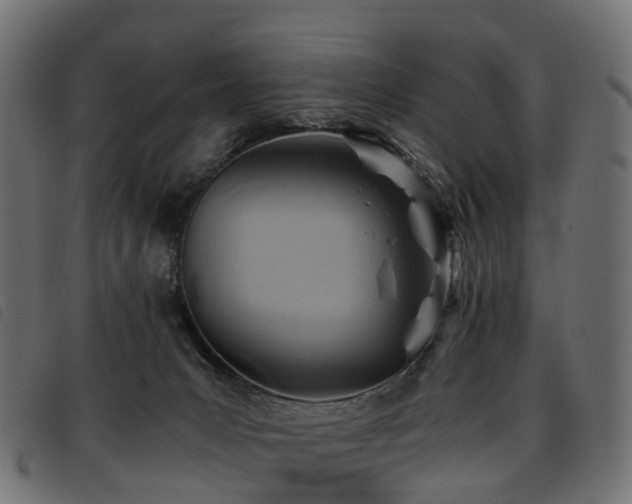 X0000093590031200710151213