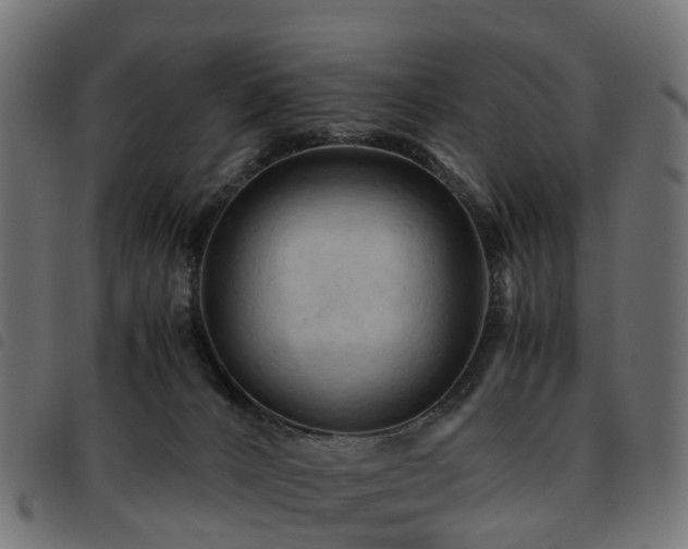 X0000093590032200710151213
