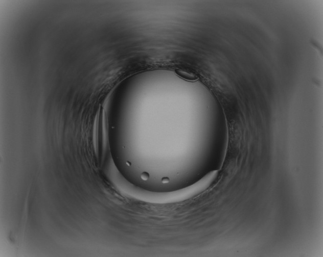X0000093590033200710151213