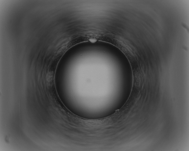 X0000093590034200710151213