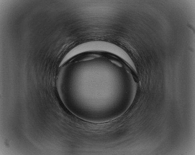 X0000093590035200710151213