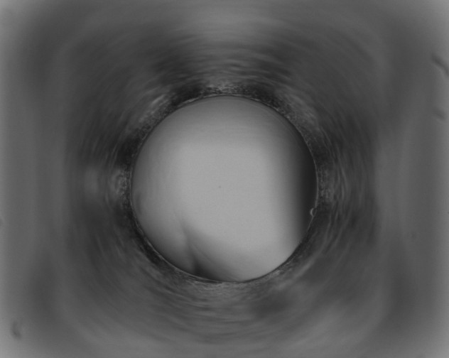 X0000093590036200710151213