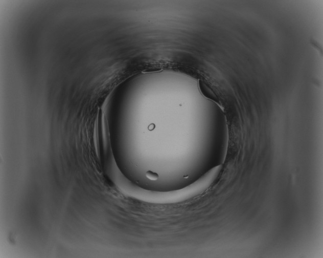 X0000093590037200710151213