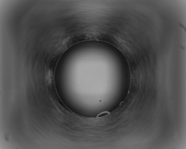 X0000093590038200710151213