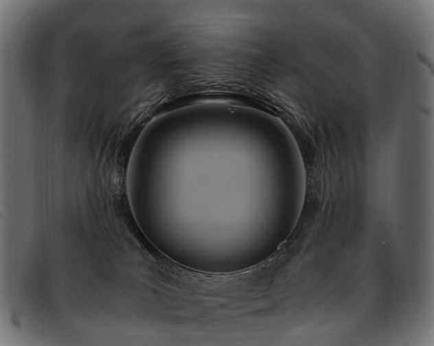 X0000093590039200710151213