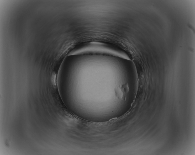X0000093590041200710151212