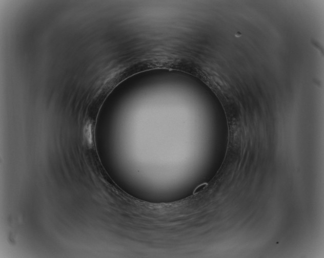 X0000093590042200710151212