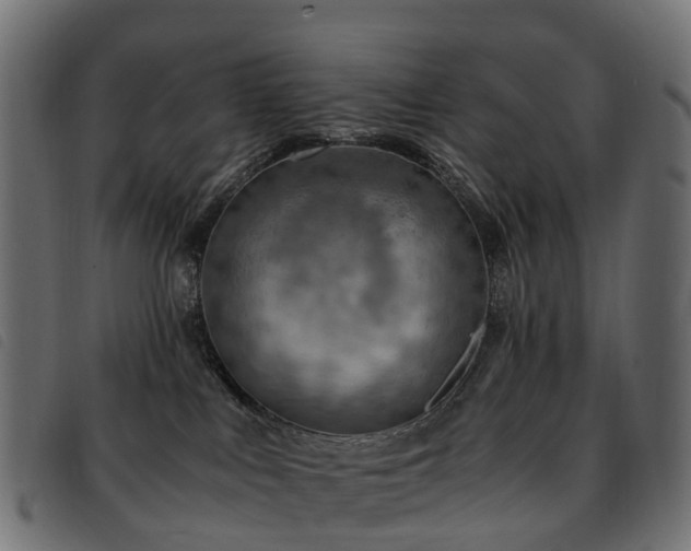X0000093590043200710151212