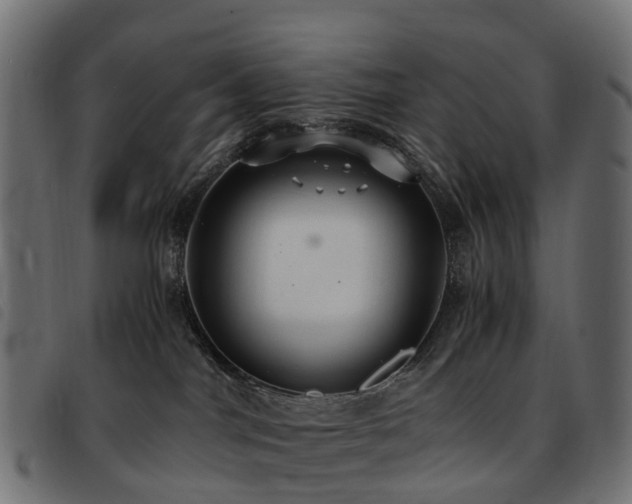 X0000093590044200710151212