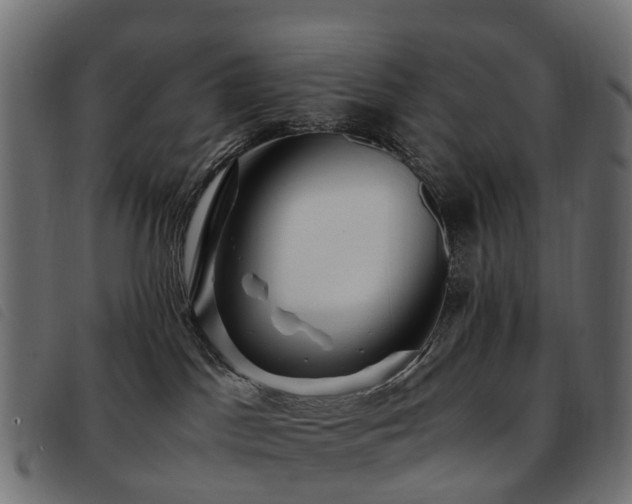 X0000093590045200710151212