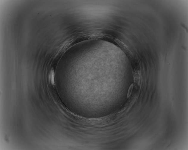 X0000093590046200710151212