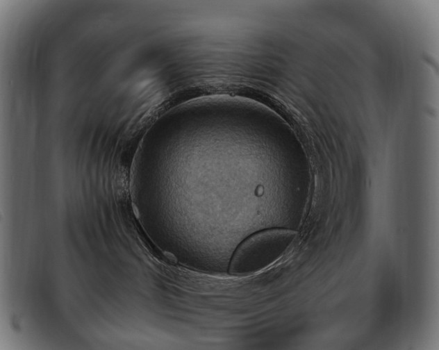 X0000093590048200710151212