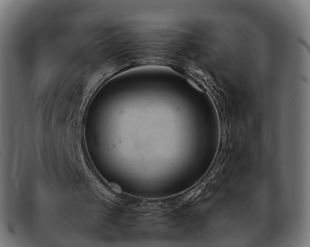 X0000093590049200710151212