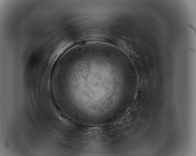 X0000093590050200710151212