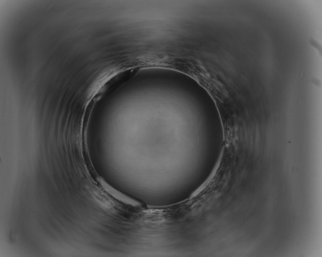 X0000093590052200710151212
