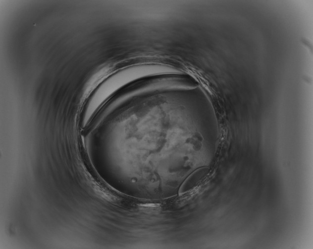 X0000093590053200710151212