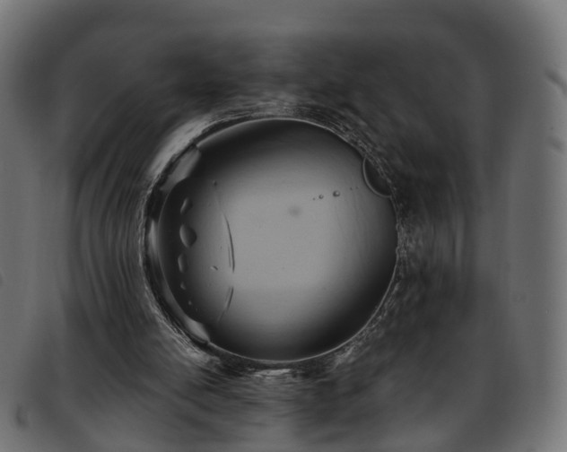 X0000093590054200710151212