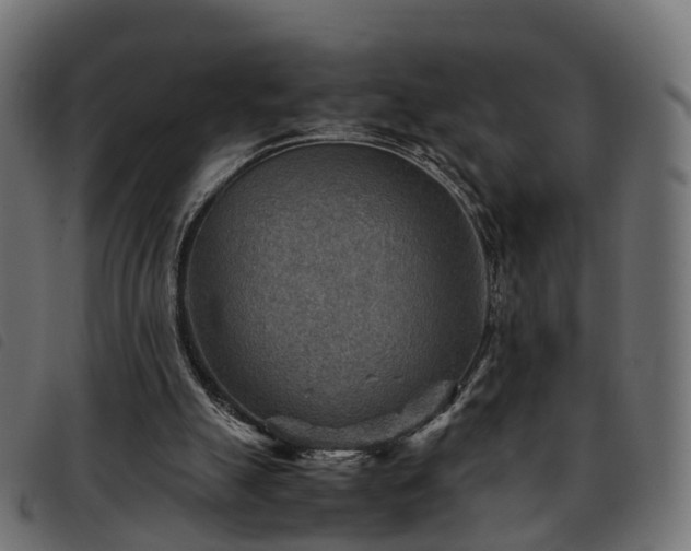 X0000093590055200710151212