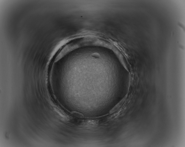 X0000093590056200710151212