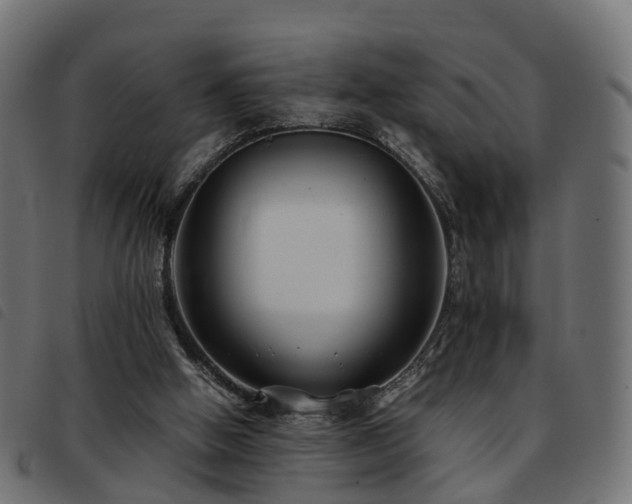 X0000093590058200710151212