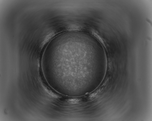 X0000093590059200710151212