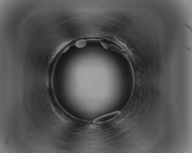 X0000093590060200710151212