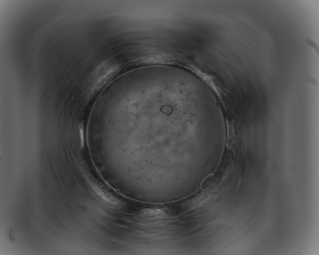 X0000093590061200710151212