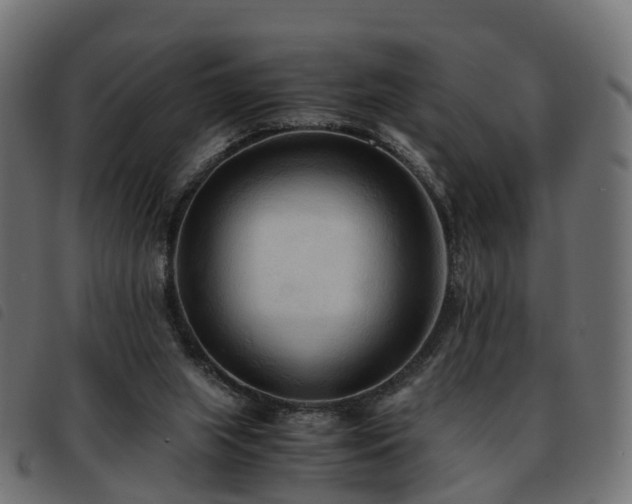 X0000093590063200710151212