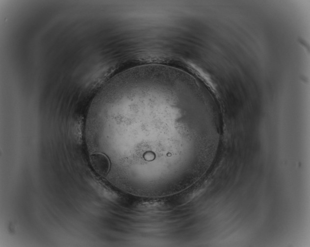 X0000093590065200710151212