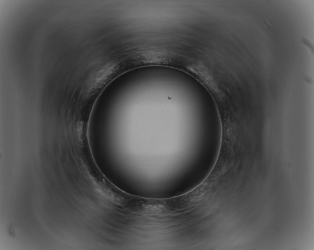X0000093590066200710151212