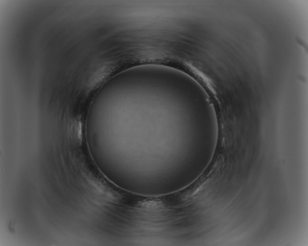 X0000093590067200710151212