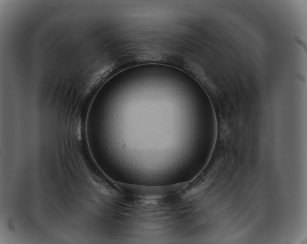 X0000093590068200710151212